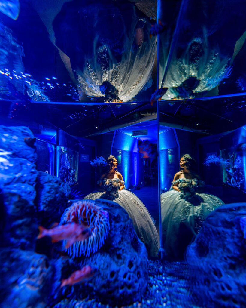 Quinceañera portrait in blue ball gown surrounded by aquarium tanks at Seattle Aquarium