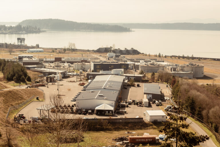 Elevated view of green Pacific Northwest garden grounds along the water