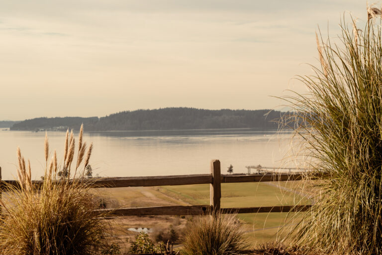 Puget Sound water view framed by tall grasses, Pacific Northwest garden landscape