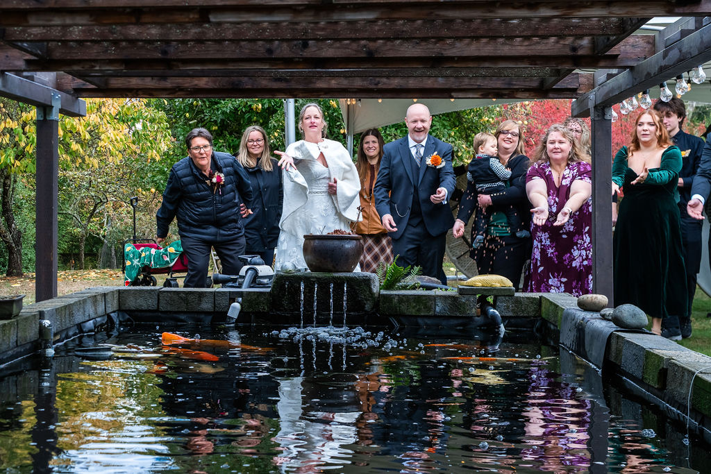 Bride, groom, and wedding guests gathered around a koi pond tossing food to the fish during an outdoor wedding celebration on Vashon Island, Washington