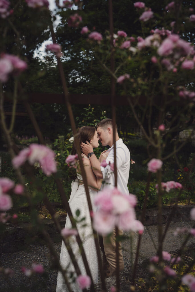 Tacoma rose garden engagement photos at golden hour