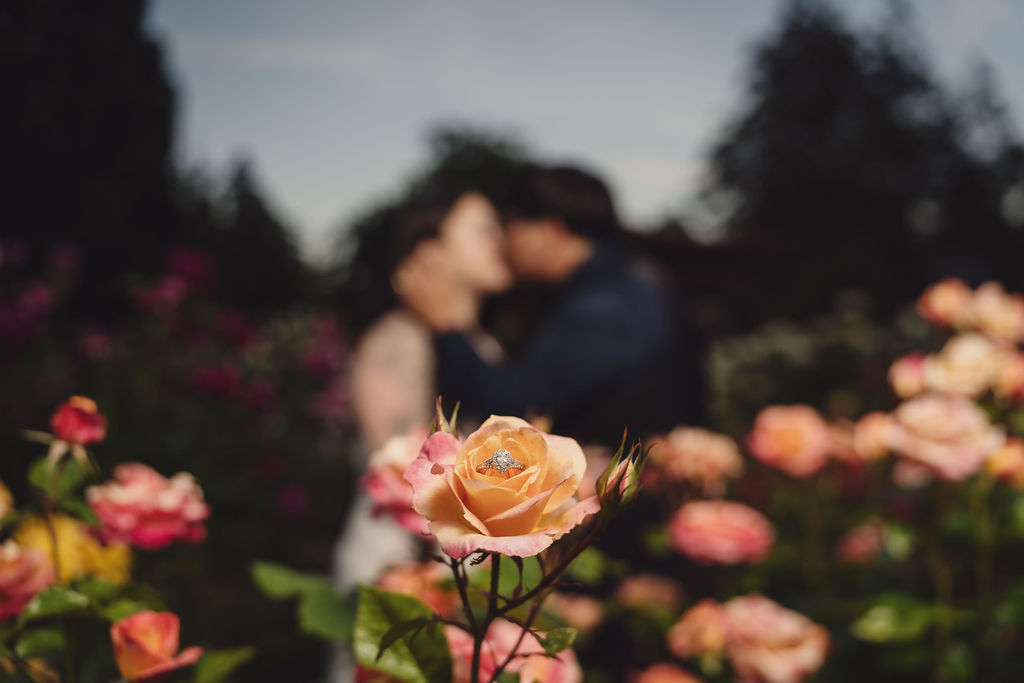 Backlit engagement portrait at golden hour in the rose garden at Point Defiance Park Tacoma
